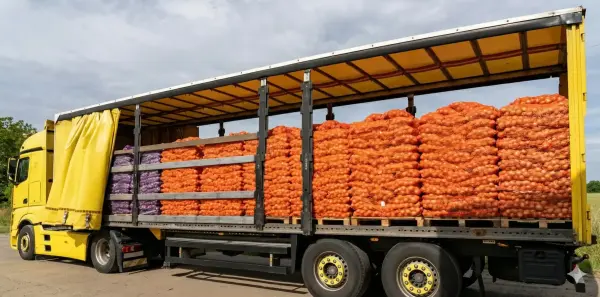 Армения сможет импортировать до 5 000 тонн лука без пошлины по решению ЕЭК